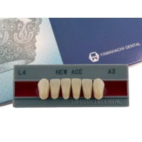 Зуби Yamahachi, фронтальна група, A3, L4 низ, 6шт.