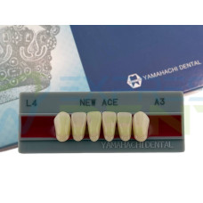 Зуби Yamahachi, фронтальна група, A3, L4 низ, 6шт.