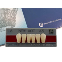 Зуби Yamahachi, фронтальна група, A3, L6 низ, 6шт.