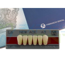 Зуби Yamahachi, фронтальна група, A3, L6 низ, 6шт.