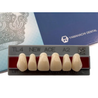 Зубья Yamahachi, передняя группа, A2, TL4 top, 6шт.