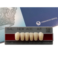 Зуби Yamahachi, фронтальна група, A3, S4L низ, 6шт.