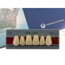 Зуби Yamahachi, фронтальна група, A3, T2 верх, 6шт.