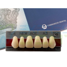 Зуби Yamahachi, фронтальна група, A3, TL4 верх, 6шт.