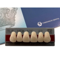 Зуби Yamahachi, фронтальна група, A2, TL5 верх, 6шт.