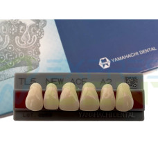 Зуби Yamahachi, фронтальна група, A2, TL5 верх, 6шт.