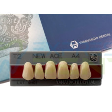Зуби Yamahachi, фронтальна група, A4, T2 верх, 6шт.