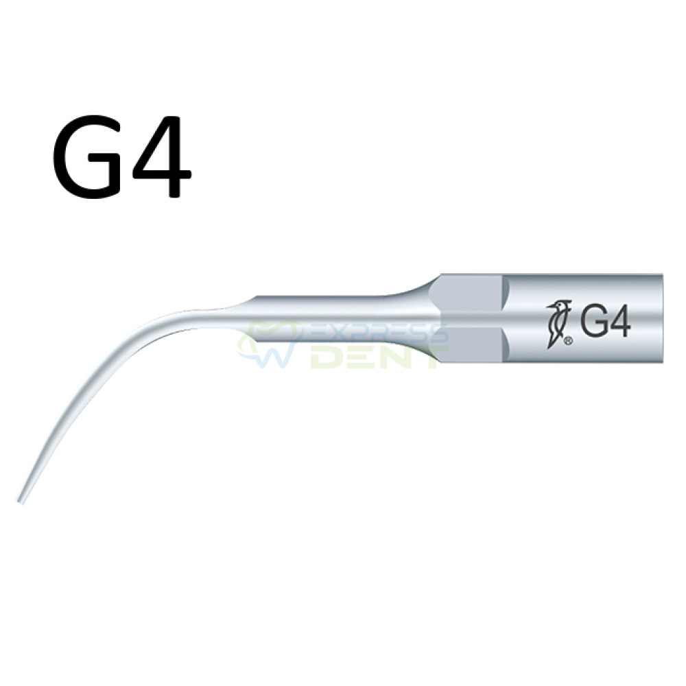 Насадка на скалер EMS G4