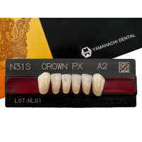 Зуби Crown PX, фронтальна група, A2, N31S, низ, 6шт.