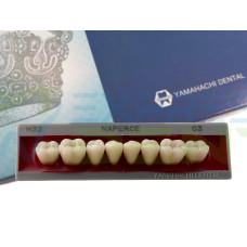 Зуби Yamahachi, жувальна група, C3 M32, низ, 8шт.