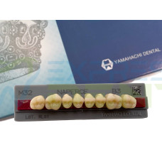 Зуби Yamahachi, жувальна група, B3 M32, верх, 8шт.