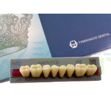 Зуби Yamahachi, жувальна група, B3 M32, низ, 8шт.
