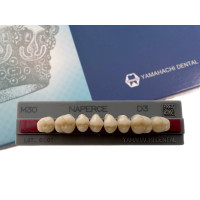 Зубы Yamahachi, жевательная группа, D3 M30, верх, 8шт.