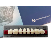 Зубы Yamahachi, жевательная группа, B1 M33, верх, 8шт.