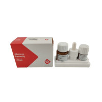 Абсцесс ремеди с дексаметазоном Abscess remedy, 15г+15мл