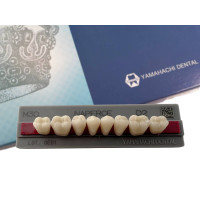 Зуби Yamahachi, жувальна група, D2 M30, низ, 8шт.