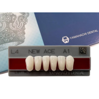 Зуби Yamahachi, фронтальна група, A1, L4 низ, 6шт.