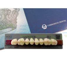 Зуби Yamahachi, жувальна група, B2 M32, верх, 8шт.