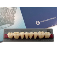 Зубы Yamahachi, жевательная группа, B2 M32, дно, 8шт.