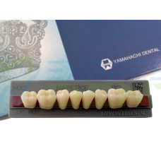 Зуби Yamahachi, жувальна група, B2 M32, низ, 8шт.