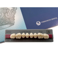 Зубы Yamahachi, жевательная группа, D2 M32, верх, 8шт.