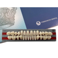 Полноценная гарнитура Yamahachi Teeth C1 T3