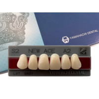 Зуби Yamahachi, фронтальна група, A2, S2 верх, 6шт.