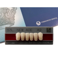 Зуби Yamahachi, фронтальна група, A2, S3L низ, 6шт.
