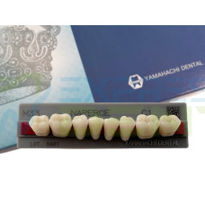Зуби Yamahachi, жувальна група, C1 M33, низ, 8шт.