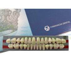 Зуби Yamahachi повний гарнітур C1 ТL5
