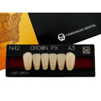 Зубы Crown PX, Front Group, A3, N42, снизу, 6 шт.