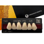 Зуби Crown PX, фронтальна група, A3, T41, верх, 6шт.
