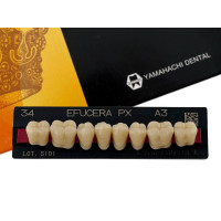 Зубы Efucera PX, жевательная группа, A3 M34, низ, 8шт.