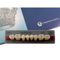 Зубы Yamahachi, жевательная группа, C3 M30, дно, 8шт.