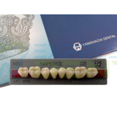 Зуби Yamahachi, жувальна група, C3 M30, низ, 8шт.