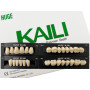 Зуби KAILI повний гарнітур A2 S8 L8 34