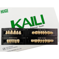 Зуби KAILI повний гарнітур A3.5 T4 L4 30