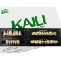 Зуби KAILI повний гарнітур A2 T6 L6 32