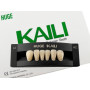 Зуби KAILI фронт низ A2 L4