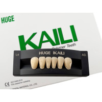 Зуби KAILI фронт низ A3 L4