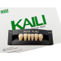 Зубы KAILI фронт низ A3.5 L4