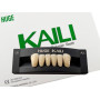 Зуби KAILI фронт низ A3 L6