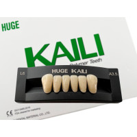 Зубы KAILI фронт низ A3.5 L6
