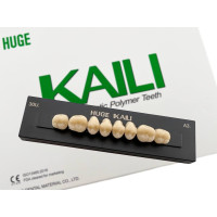 Зубы KAILI жевательные A3 30 верх