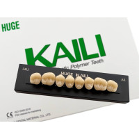 Зубы KAILI жевательные A3 34 верх