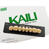 Зуби KAILI жувальні A3,5 34 верх