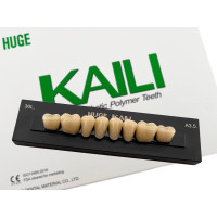 Зубы KAILI жевательные A3,5 30 низ