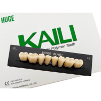 Зубы KAILI жевательные A3 32 низ