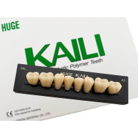 Зубы KAILI жевательные A3 34 низ