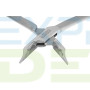 Щипцы магазинные ортодонтические универсальные Bird Beak, Asim DE-1349